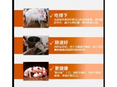 仔猪咬尾巴的原因之二图2
