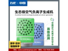 左杉负离子发生器家用负氧离子机空气净化器图2