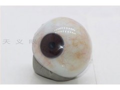 河南高分子义眼费用多少/泊头艺水碧天定制常规型义眼图1