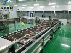 多功能果蔬气泡清洗机 气泡清洗机生产厂家图3