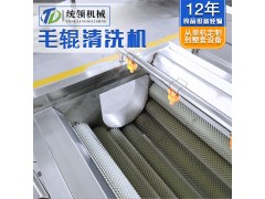 毛辊去泥去皮清洗机 猪头猪皮清洗机 生姜马铃薯毛辊去皮清洗机图4