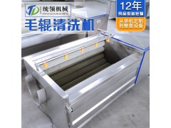 毛辊去泥去皮清洗机 猪头猪皮清洗机 生姜马铃薯毛辊去皮清洗机图3