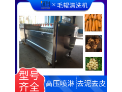 山药毛辊清洗机 甘蔗去泥清洗设备 U型滚筒清洗去皮机图2