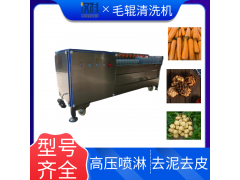 山药毛辊清洗机 甘蔗去泥清洗设备 U型滚筒清洗去皮机图3