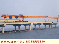 广东茂名架桥机销售厂家做起重机的源头工厂图1