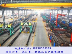 浙江杭州桥式起重机销售厂家双梁起重机起重量和跨度大