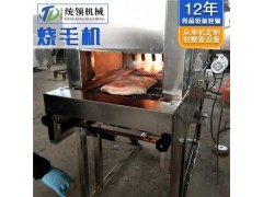 肉类烧毛机   网带式烧毛机 液化气猪头烧毛机图3