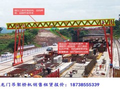 湖北随州花架门式起重机和普通龙门吊的适用场景图1