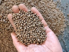 埋箱砂，配重钢丸，铁丸规格3-6mm厂家晟博安图2