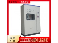 首安防腐防爆防尘正压通风柜 不锈钢防爆正压柜带机柜空调图3