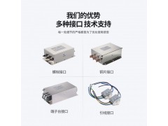 赛纪高性能电源滤波器 谐波抗干扰 SJD710图2