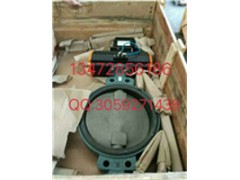 德国EBRO依博罗Z011-A电动蝶阀 原装正品直销图2