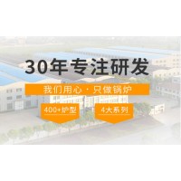 造纸行业成就中正的低氮锅炉
