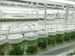 T8育苗生长组培灯，金线莲组培灯，铁皮石斛组培灯， 花卉育苗灯，白芨育苗组培灯，室内育苗组培灯，温室大棚组培灯，各种花卉育苗组培灯，全光谱组培育苗灯，草莓生长补光灯，图2