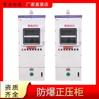 双开门防爆正压柜带机柜空调 散热效果好 操作便捷安全可靠 首安