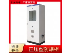防爆正压通风柜 粉尘防爆正压柜 防爆正压柜环境使用条件分析 通风换气 安全运用图4