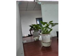 单向透视玻璃（单反玻璃，辨认室玻璃，录播室玻璃）图2