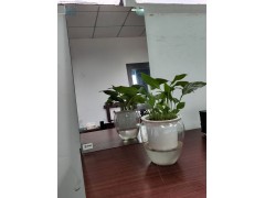 单向透视玻璃（单反玻璃，辨认室玻璃，审讯室玻璃）--诺坤达图2