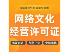 承接ICPEDI、网文、广播办理图4
