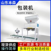 双工位聚合硫酸铁包装机定量包装秤性能稳定按需定制