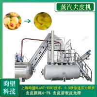 昀望大型黄桃 土豆蒸汽去皮机 去皮干净