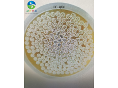 PTFE平板膜、陶瓷平板膜、PTFE超滤膜,PVDF七孔膜图3