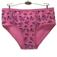 欧美跨境外贸大码女士内裤 印花透气舒适大码妈咪裤 厂家现货批发