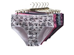 欧美跨境外贸大码女士内裤 印花透气舒适大码妈咪裤 厂家现货批发图2