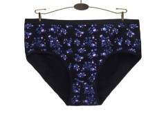 欧美跨境外贸大码女士内裤 印花透气舒适大码妈咪裤 厂家现货批发图3