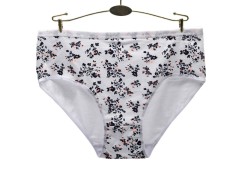 欧美跨境外贸大码女士内裤 印花透气舒适大码妈咪裤 厂家现货批发图4