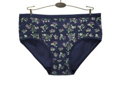 欧美跨境外贸大码女士内裤 印花透气舒适大码妈咪裤 厂家现货批发图5