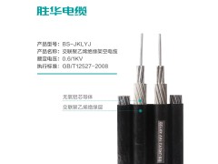 新乡胜华电缆厂 BS-JKLYJ铝芯平行架空线 10-120平方 生产厂家图2