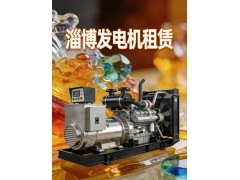 淄博发电机租赁 救援发电机出租 淄博机械设备租赁 快速上门配送图2