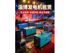 淄博发电机租赁 救援发电机出租 淄博机械设备租赁 快速上门配送图4